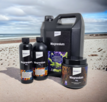 Ocean Six Magnesium