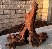 Mopani Driftwood Large Pieces