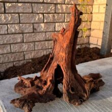 Mopani Driftwood Large Pieces