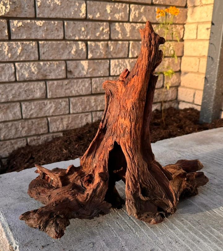 Mopani Driftwood Large Pieces