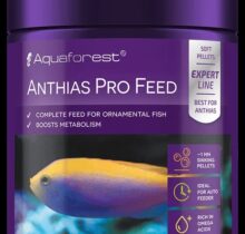 Anthias Pro Feed