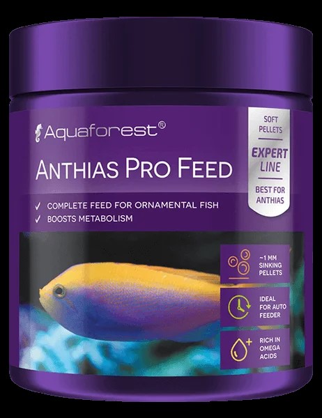 Anthias Pro Feed