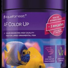 AF Color Up