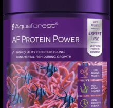 AF Protein Power