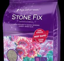 Stone Fix