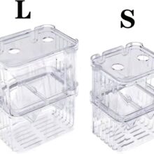 Fish Isolation Breeding Boxes