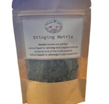 Stinging Nettle