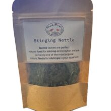 Stinging Nettle