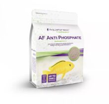 Anti Phosphate