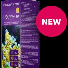 Polyp-Up