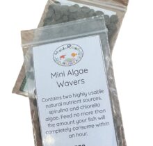 Mini Algae Wavers