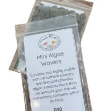 Mini Algae Wavers